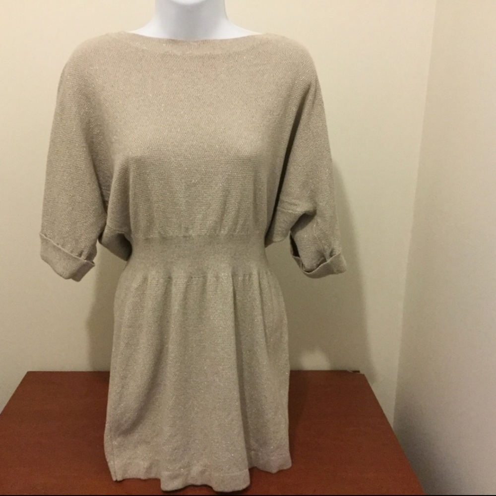Sweater Dress | Express | Medium